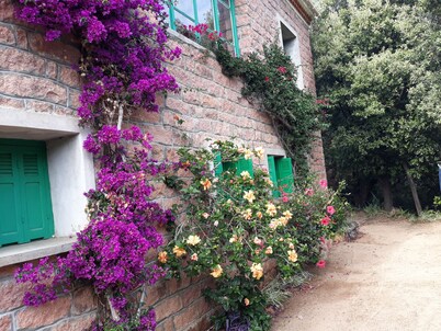 Traditional pink granite PORTO VILLA,