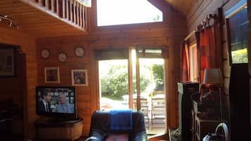 Televisión, chimenea, reproductor de DVD y estéreo