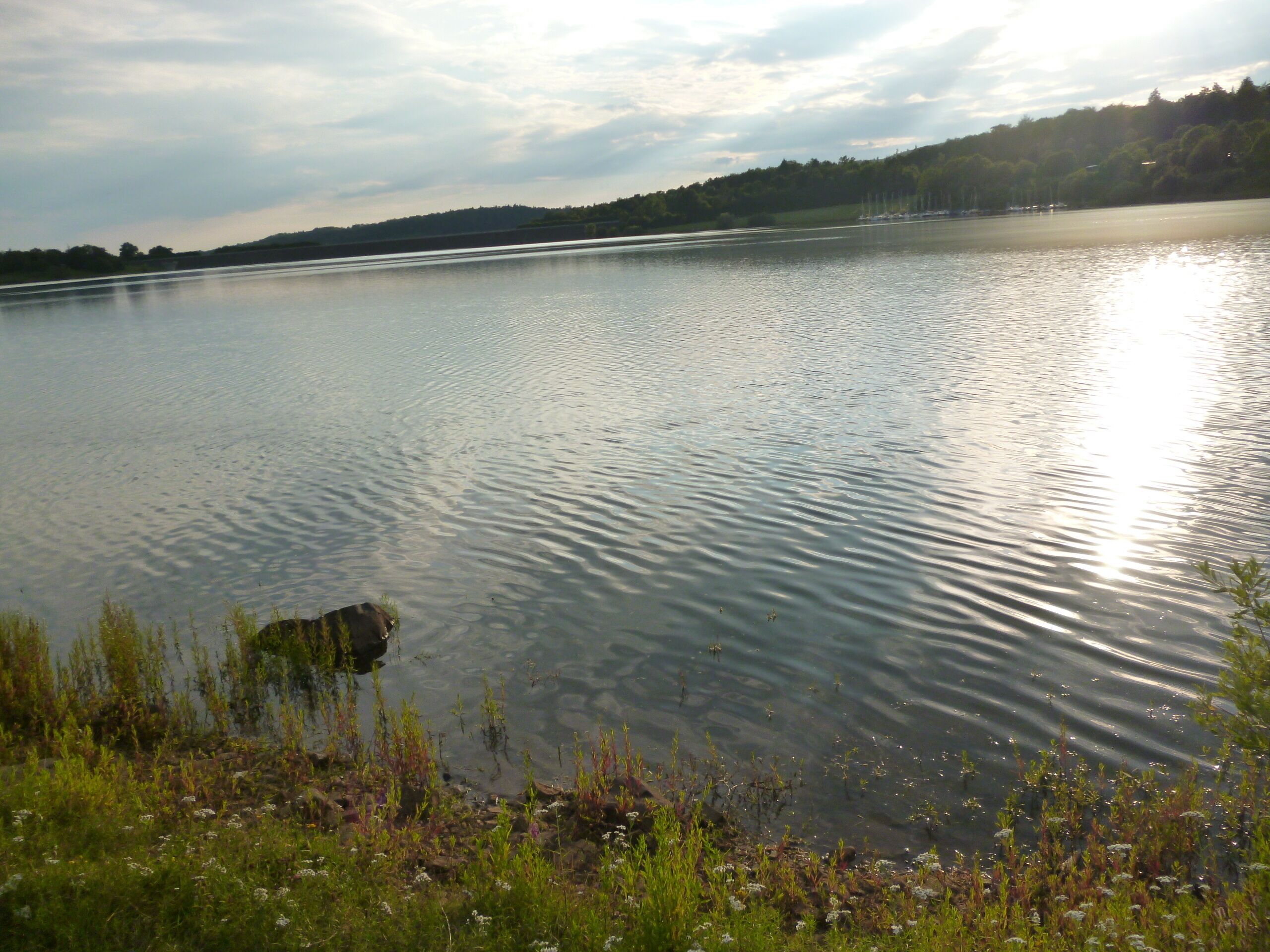 A calm lake with a rocky shoreline and sparse vegetation.