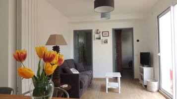 Una televisión, un reproductor de DVD, libros