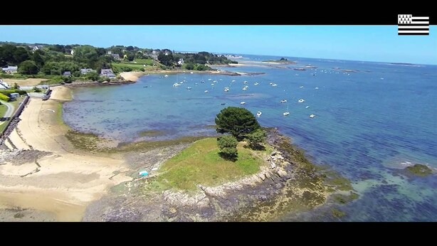 Luchtbeeld van een kustgebied met een zandstrand, een klein eiland met een boom en tal van boten op het water.