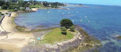 A coastal area with a sandy beach, a rocky outcrop with a tree, and numerous boats in the water.