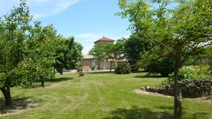 A grassy outdoor area with trees and a stone wall. - Gite on closed wooded grounds (Castelferrus)