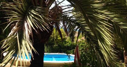Spacious residential landscape, garden with pool, 8 minutes to the beach.