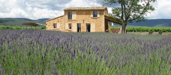 Bastidon with heated pool and private garden in the Luberon