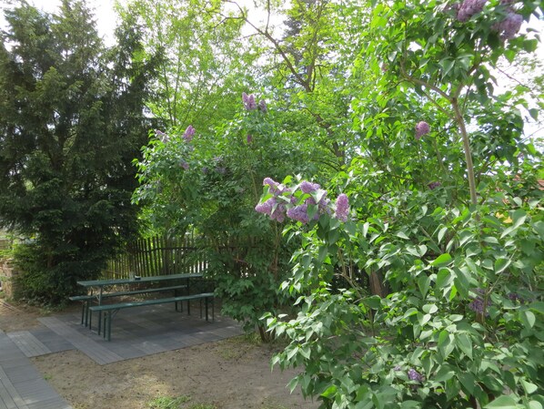 Sit and relax in a serene garden setting surrounded by lush greenery and flowering trees.