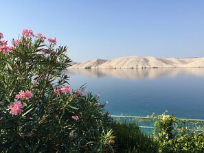 Unclassified image, 2 of 24, button