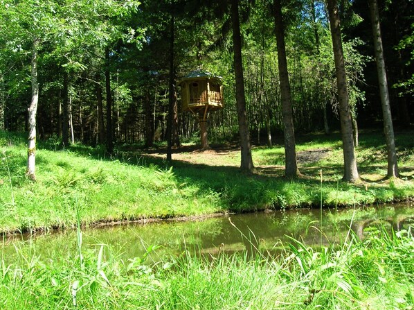 A treehouse in a forested area with a pond in the foreground.