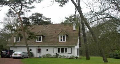 Hübsche Villa, mitten im Wald, Südlage, Stille