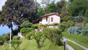 A house with a garden and a pathway. - Rustico in a panoramic position, terrace with sea view. (Pietrasanta)