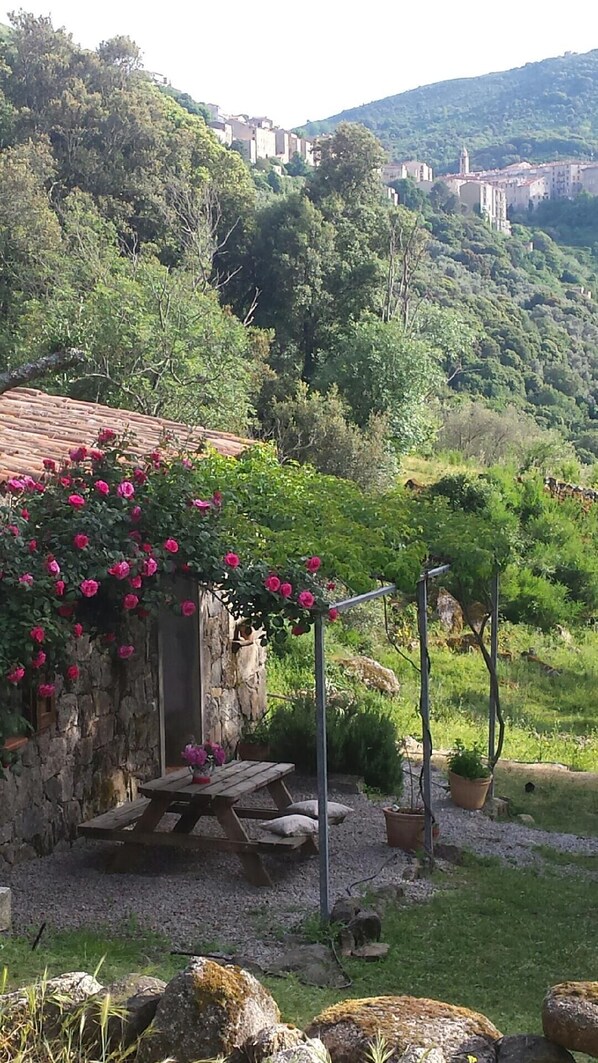Terrace/patio - Caseddu charming, small typical Corsican sheep (Sartène)