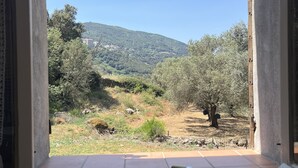 A kitchen with a sink and a window overlooking a hillside with trees and buildings. - Caseddu charming, small typical Corsican sheep (Sartène)