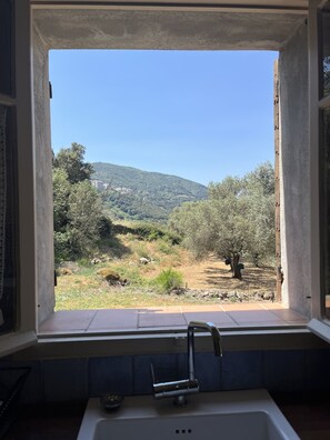 Interior - Caseddu charming, small typical Corsican sheep (Sartène)