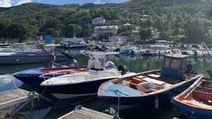 Un port esportiu amb diverses embarcacions amarrades, envoltat de vegetació abundant i edificis al fons.