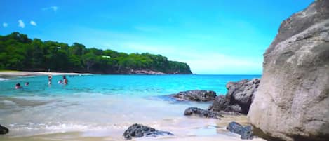 A beach with clear water, rocks, and a forested area in the background.