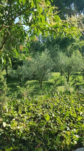 LES PALMIERS: Beautiful, peaceful setting in a Camargue hamlet 