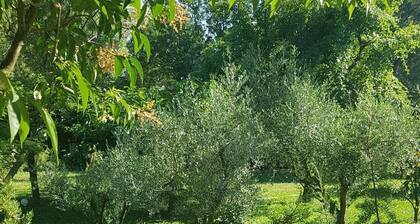 LES PALMIERS: Beautiful, peaceful setting in a Camargue hamlet
