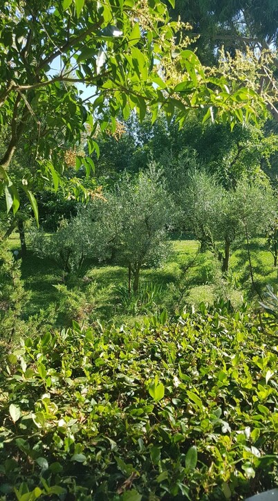 LES PALMIERS: Beautiful, peaceful setting in a Camargue hamlet