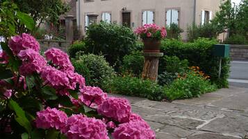 Detalle del exterior