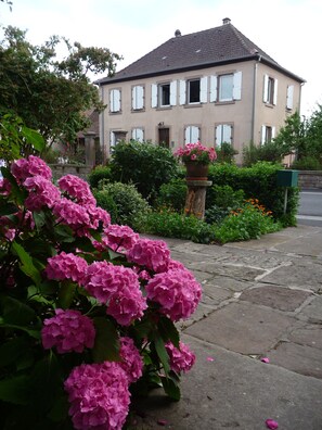 Detalle del exterior