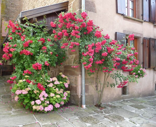 Stroll through the beautifully maintained garden, surrounded by vibrant roses and a variety of flowering plants.