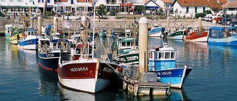 Marina