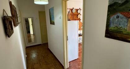 Matias Terrace House