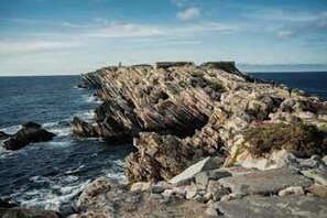 Une côte rocheuse où les vagues s’écrasent sur le rivage.