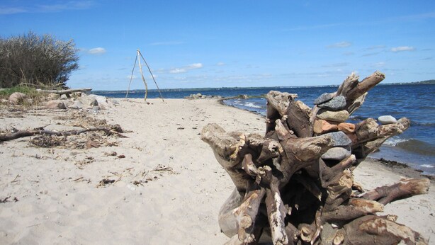 A beach with driftwood stacks and a swing set. - Pleasant, modern and cozy, our apiary (Ulsnis)
