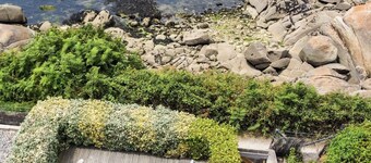 HUS MED SEA OCH HARBOR: KOMFORT OCH PRIVILEGERAD PLATS