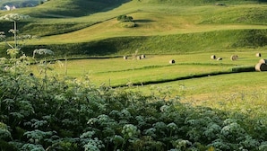 Ländliche Landschaft mit sanften Hügeln, Heuballen und vielfältiger Vegetation.