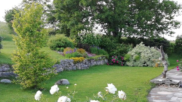 Ein Garten mit weißen Blüten, einer Steinmauer und verschiedenen Sträuchern.