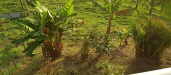 Storslået F3 bis Lys i en grøn ro