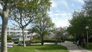 A park with a paved walkway, benches, and trees.