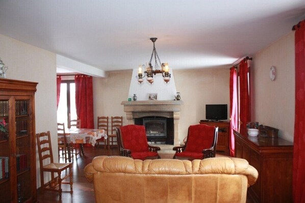 TV, fireplace, books