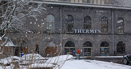 Town center apartment, exceptional view of sancy 2 bathrooms