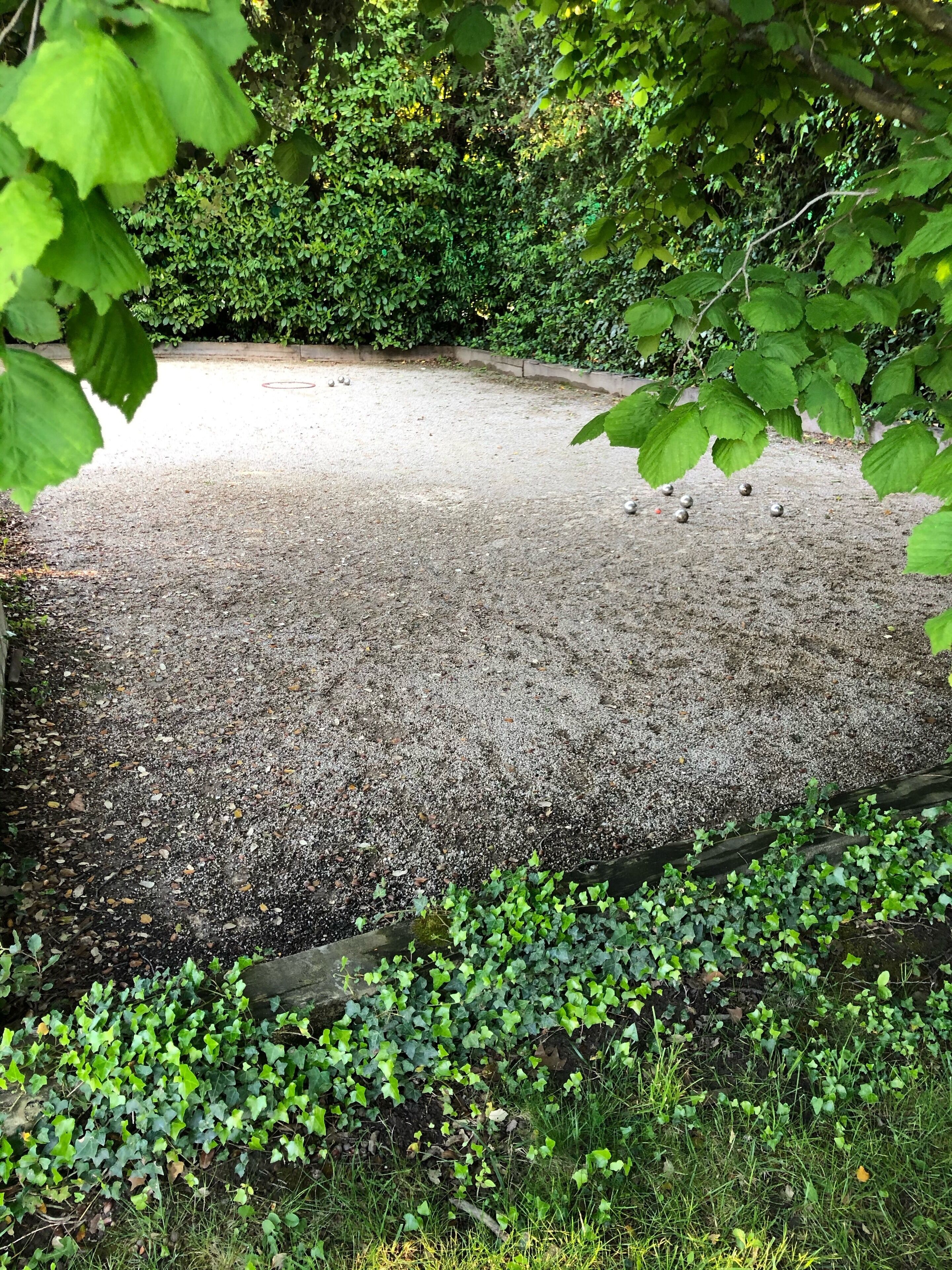 A gravel area surrounded by dense green foliage.