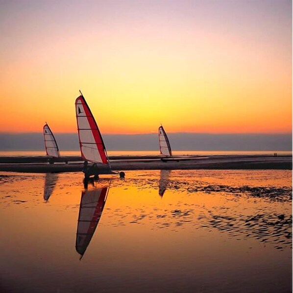 Beach nearby, beach towels - Crucano palm groves, the house itself has a heated swimming pool for 10 people (Plouharnel)