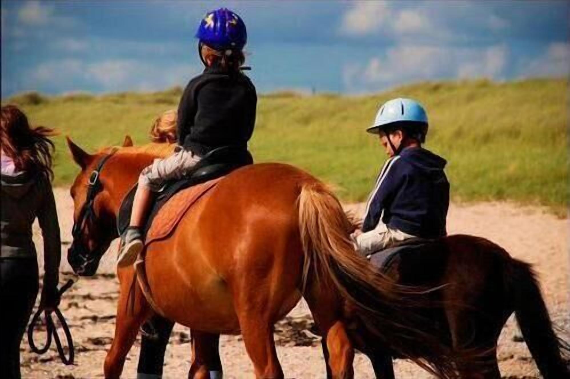 Two people riding horses on a sandy path with a grassy field in the background.