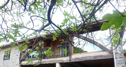 Large lodging rual 11 pers