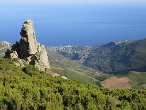 Exterior - Between sea and mountains, apartment with garden view (sisco)