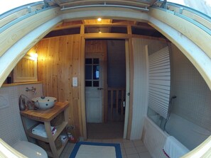 Combined shower/tub, hair dryer