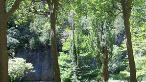 Un grupo de personas sentadas en una mesa de picnic en un área boscosa, con árboles y un risco rocoso al fondo.