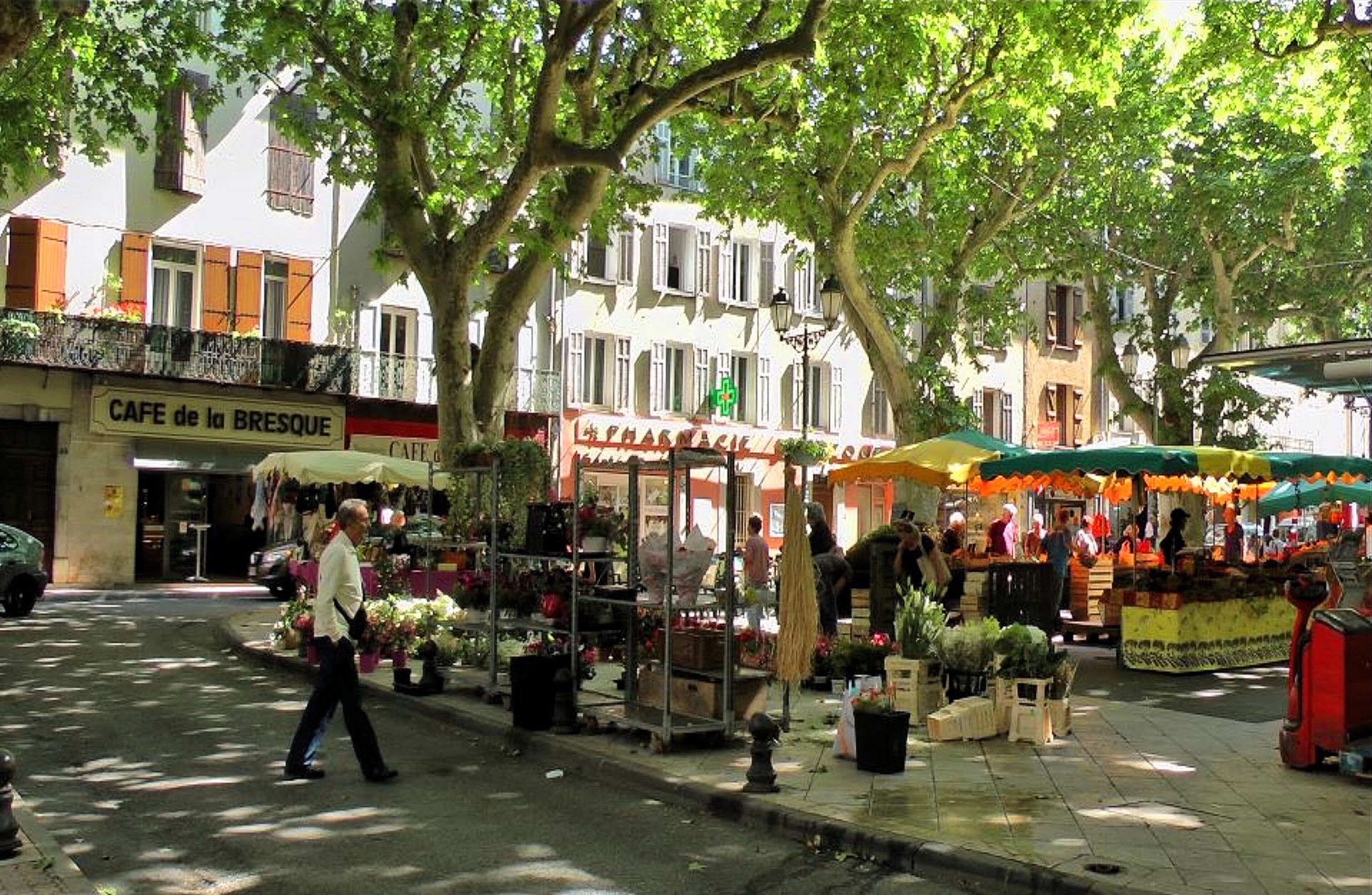 A street market with stalls selling flowers and plants.