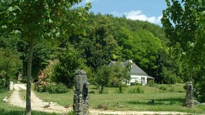 Ländliche Umgebung mit einem Haus, umgeben von üppiger Vegetation und einem Feldweg.
