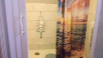 Regadera, secadora de cabello, toallas, jabón