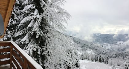 Linthal, individuelles Chalet mit Veranda in den Bergen auf 1050 m Seehöhe