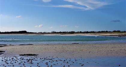 1st floor spacious and bright apartment overlooking the harbor 1640758