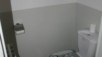 Ducha, secador de pelo y papel higiénico