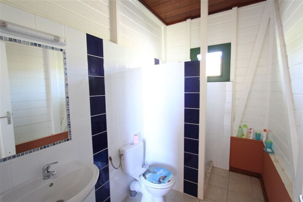 Bany amb un lavabo blanc, un vàter amb seient blau i una zona de dutxa.